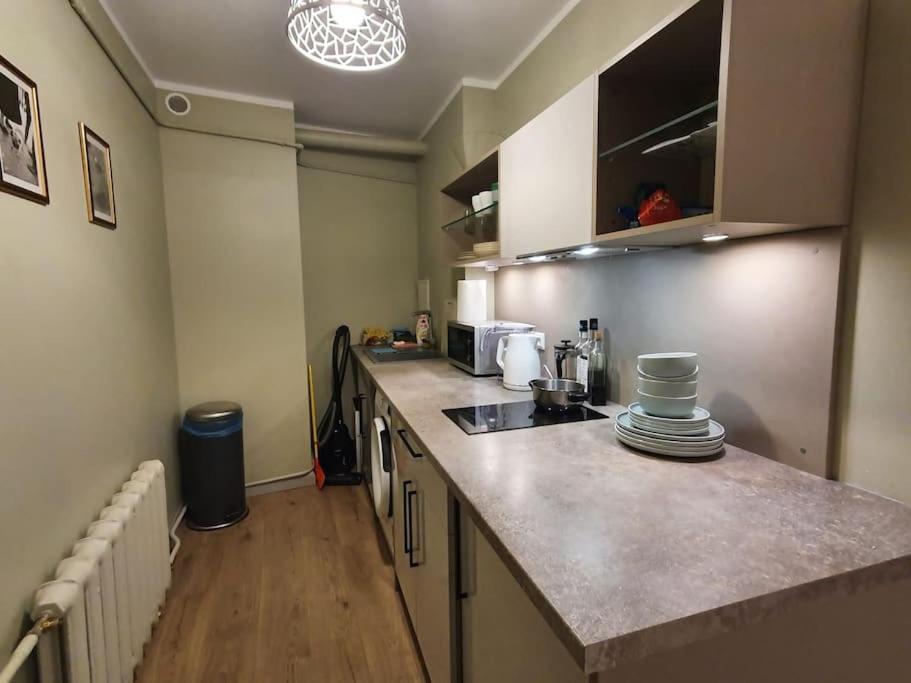 Stylish Apartment In Old Town Riga Eksteriør billede